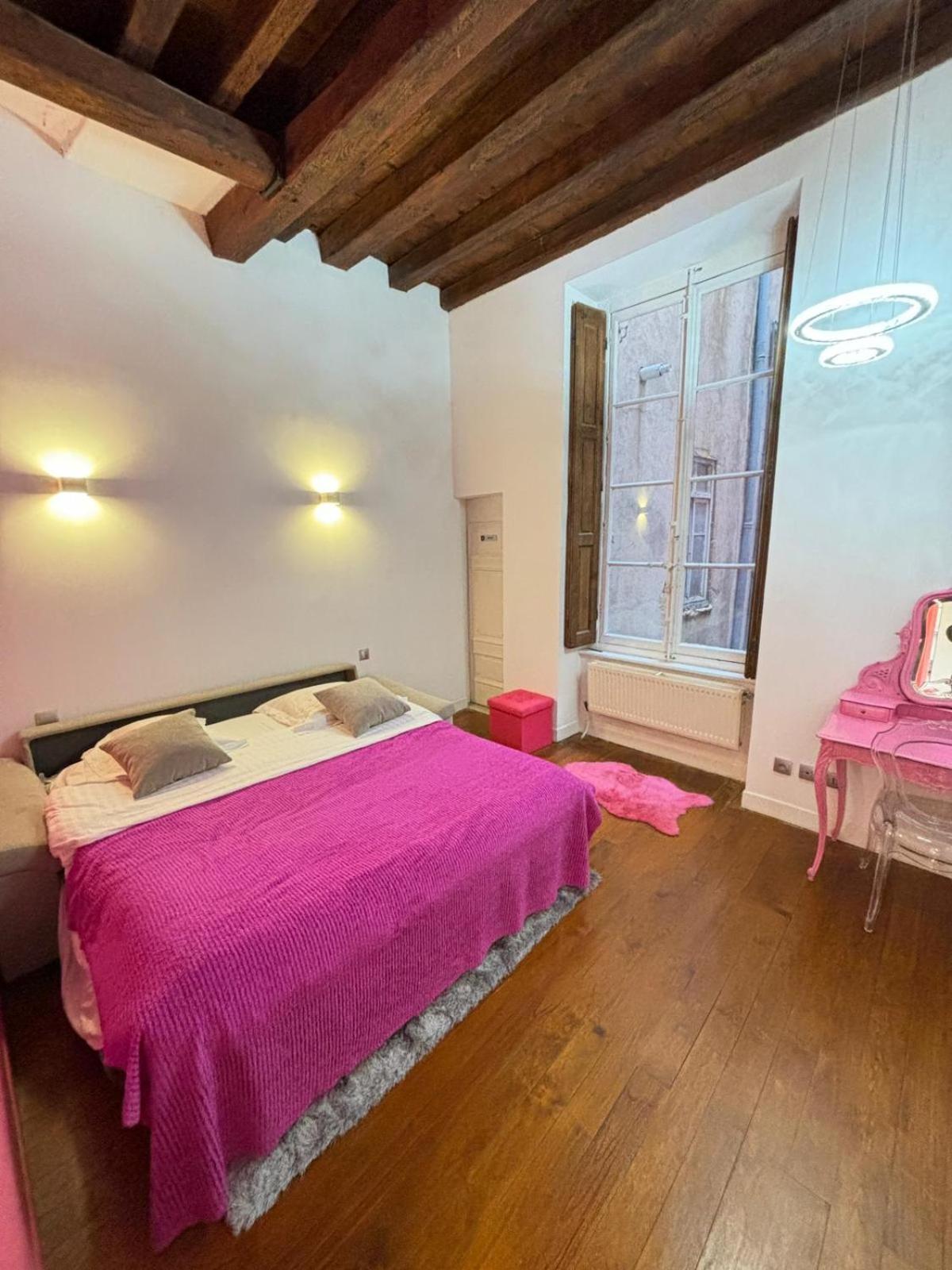 Le XVI De La Rose Apartment Lyon Luaran gambar