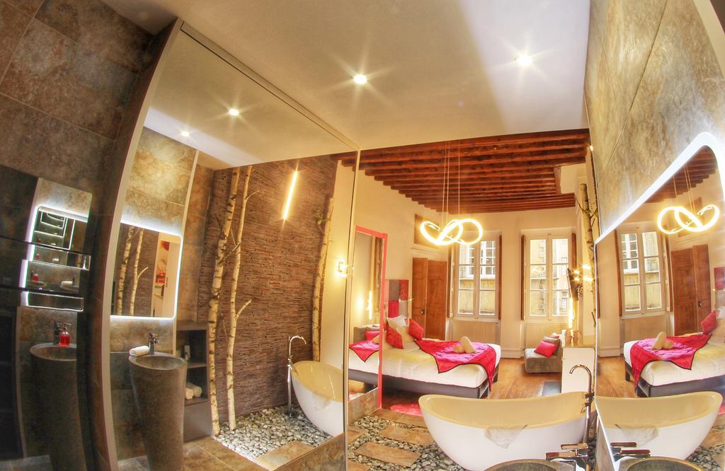 Le XVI De La Rose Apartment Lyon Luaran gambar