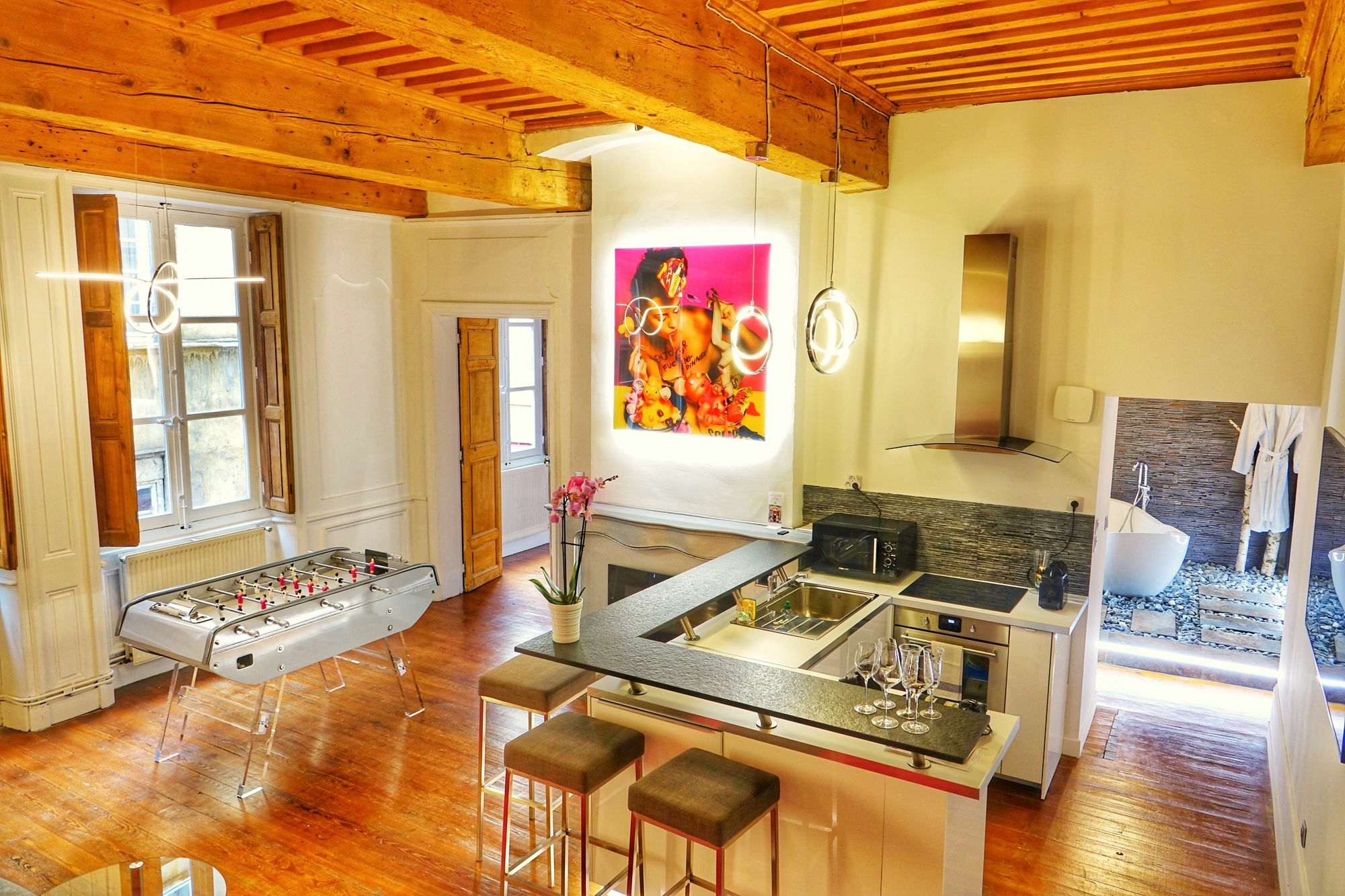 Le XVI De La Rose Apartment Lyon Luaran gambar